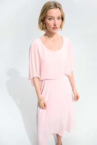Garments: Joseph Ribkoff  Dress With Chiffon Overlay / 261708