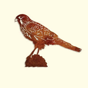 Outdoor Corten Wall Art: Metal Wall Art - "Kārearea" New Zealand Falcon