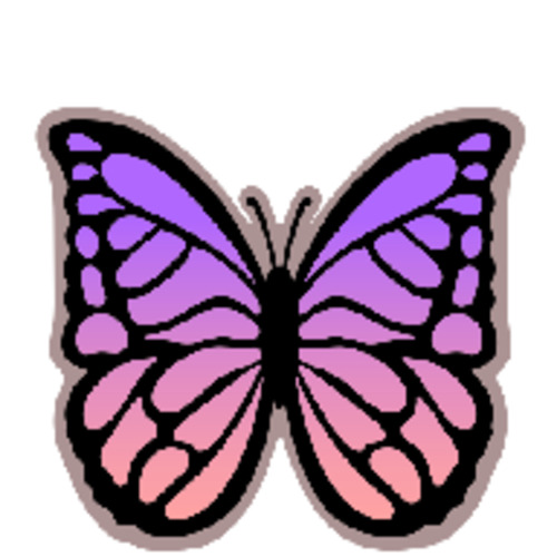 Acrylic - Butterfly