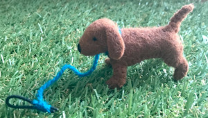 Tiny Animals: Dachshund Dog