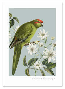 Birds & Botanics Kakariki A3 Print