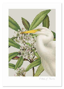 Birds & Botanics Heron A3 Print