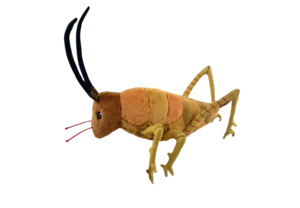 Gifts For Kids: Wiremu the Weta