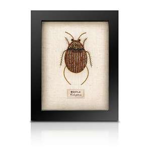 Framed Beetles 1: Beaded Fat Beetle from the Cabinet of Curiosity
