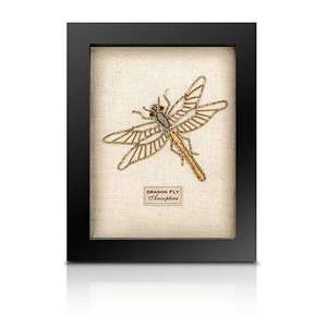 Framed Beetles 1: Beaded Dragonfly from the Cabinet of Curiosity