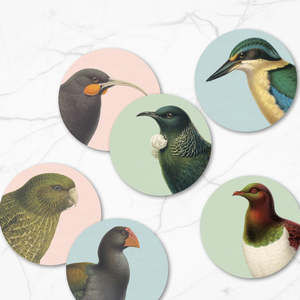 Hushed Birds Box of 6 Coasters