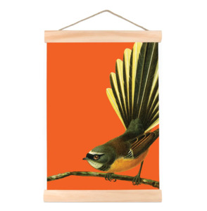 Gifts For Her: Bright Fantail - Wall Chart