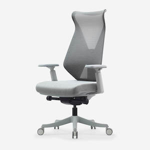 Products: Deskbird Hercules Ergonomic Office Chair - Grey (Suits 162cm-188cm)