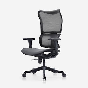 Products: Deskbird Full Mesh Infinity Ergonomic Office Chair - Black (Suits 152cm-185cm)