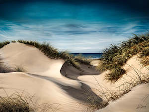 36x48 Canvas Prints: Sanddune Shadows - Canvas Print