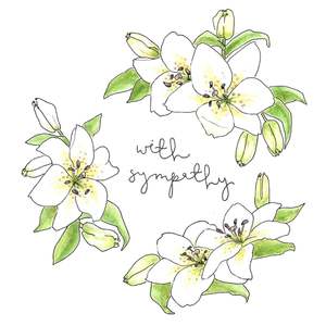 Frontpage: Sympathy Designer Greetings Cards