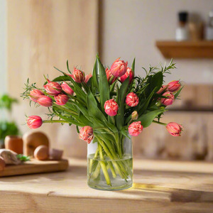 Flowers: Tulips