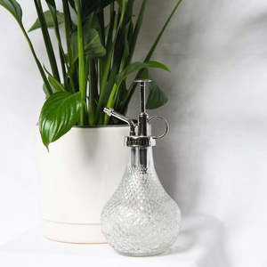 Plants: House Plant with Pot & Water Spritzer