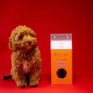 Gifts: Ecoya Holiday: Dog Grooming Set