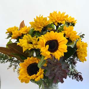 Flowers: Sunflowers
