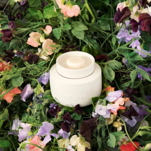 ECOYA Electric Wax Melter