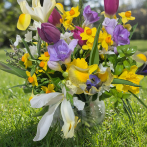 Spring in Your Step