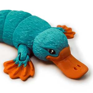 Fridge Magnets Key Chains: Platypus