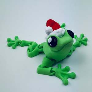 3d Printed Turtles Frogs: Santa Frog