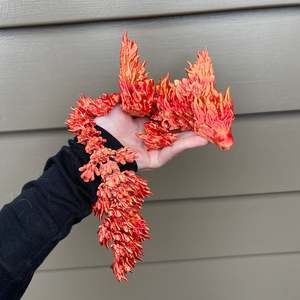 Phoenix dragon | NZ Made