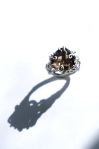 Plume Ring - Dangerous Goods