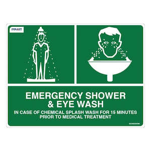 Emergency Shower & Eye Wash Pic 600 X 450 Metal