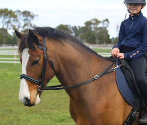Pony Stability Reins DH Equestrian