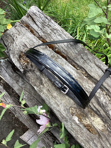 Products: Padded Patent Leather Noseband DH Equestrian