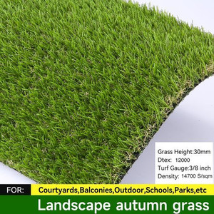 Products: Landscape Autumn Grass Turf 30mm DH Garden Supplies