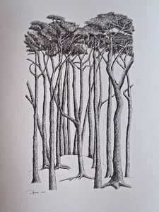 Pen Ink: Winter copse (sold)
