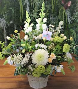 Delightfully White Lotus