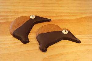 Products: Gingerkiwi