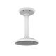 A79 Pendant Mount for Mini PTZ Dome ( MS-A79 ) - Milesight