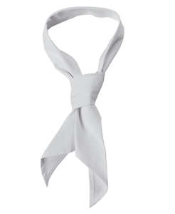 Medical: JB's Chef Scarf - 5FS