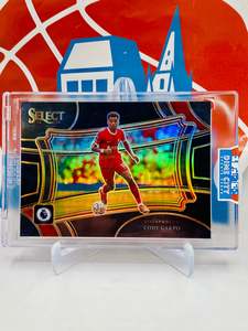 Soccer Singles: Panini Select 2023-24 Premier League Field Level #1/1