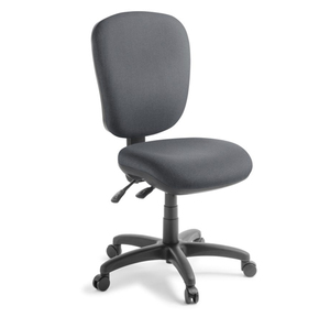 Office Chairs: Eden Arena Heavy Duty 200kg 2 lever Highback Ergonomic Chair