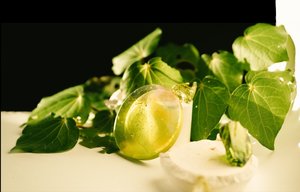 Workshop Gift Voucher - Dirt Child Design