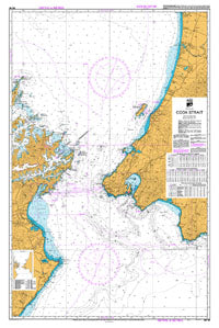 LINZ NZ46 Cook Strait Paper Chart