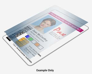 Zebra: Zebra Ribbon ZXP8/9 1MIL Clear Bottom 625 IMG