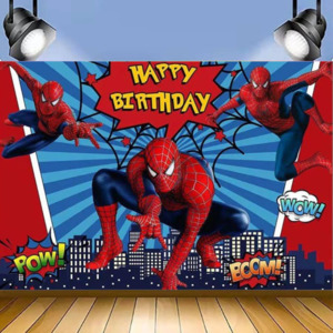 Spiderman: SPIDERMAN BIRTHDAY PARTY BANNER 3x5ft