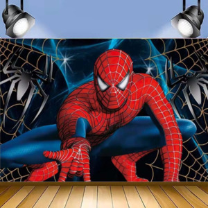 SPIDERMAN BIRTHDAY PARTY BANNER 3x5ft