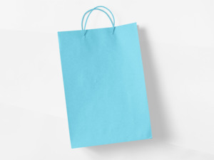 Party Favors: Pack of 4 - Goodie Bags - Light Blue