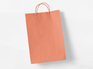 Party Favors: Pack of 4 - Goodie Bags - Orange