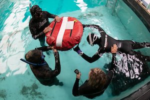 Diving Courses: Basic Freedive Course