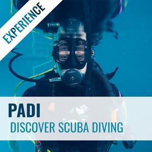 Courses Home: PADI Discover Scuba Experience