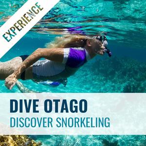 Courses Home: Discover Snorkelling Experience