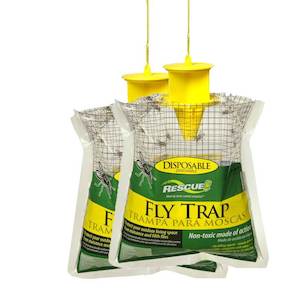 Fly Trap x 2