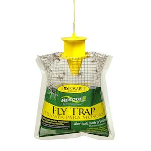 Fly Trap