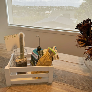 Cactus gift pack