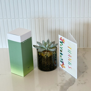 Greenery gift pack